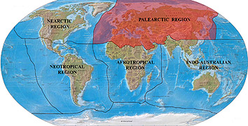 mapa-regiony-palearkt